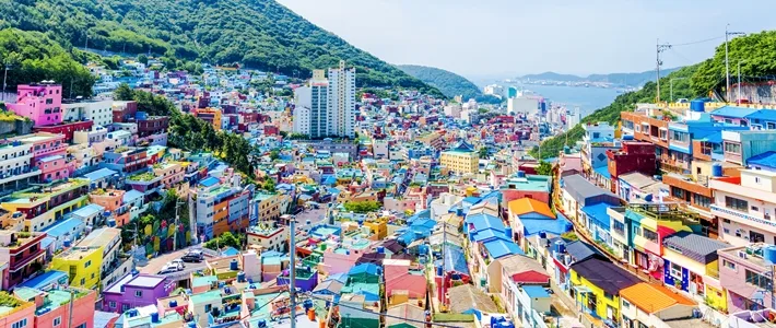 부산 일일 투어
